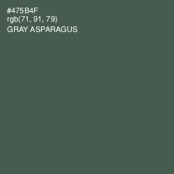 #475B4F - Gray Asparagus Color Image